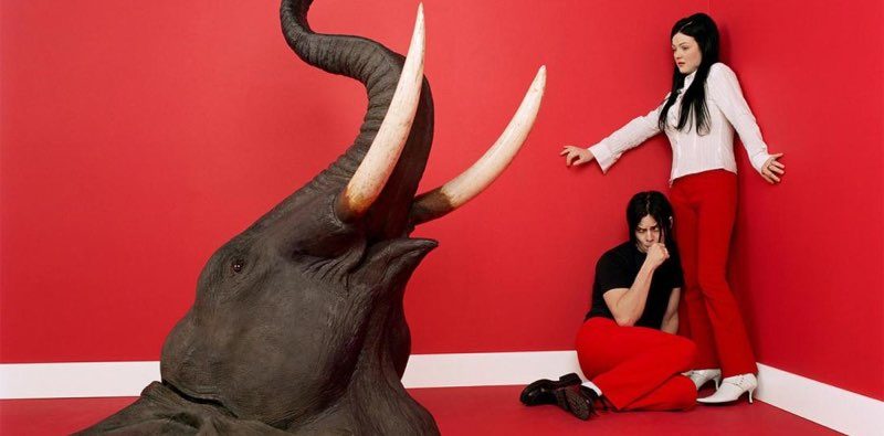 The White Stripes Elephant